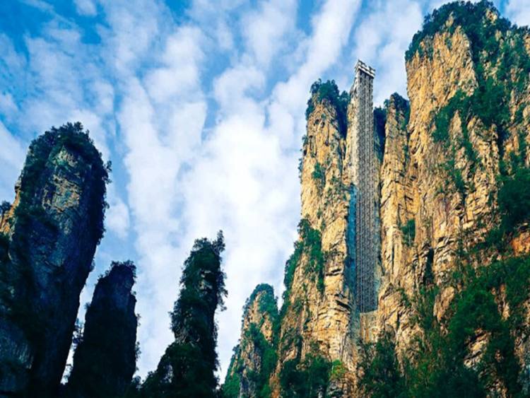 1569091049972051.jpg tms2.jpg