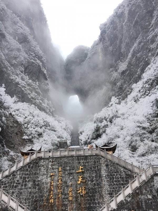 给你冬季去张家界旅游做一个参考(ps:冬天的张家界雪景是真的美,森林
