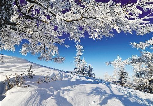 éªæ¯6