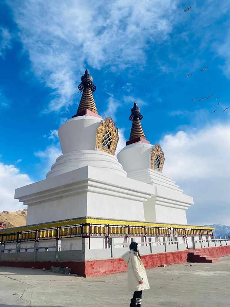 197-2102191R41N.jpg 197-2102191R41N.jpg